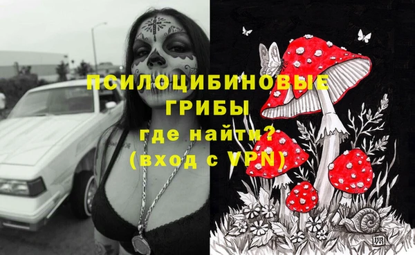 mdma Гусев