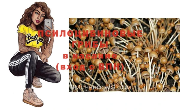 PSILOCYBIN Гусиноозёрск