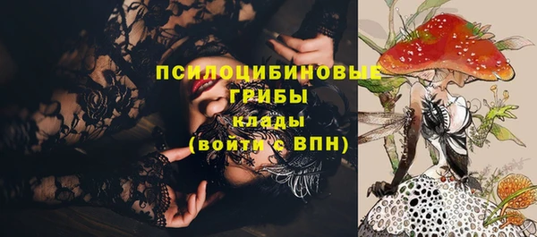 PSILOCYBIN Гусиноозёрск