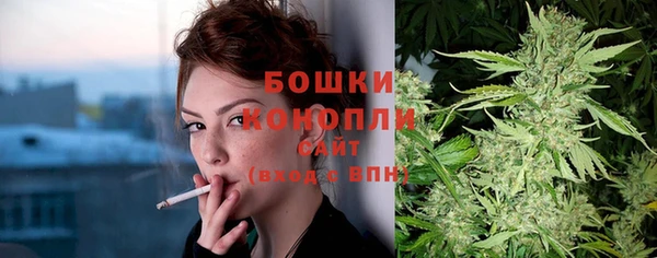 PSILOCYBIN Гусиноозёрск