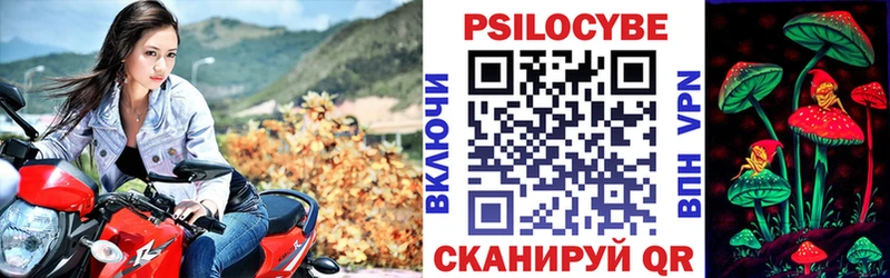 цены Красноярск hydra как войти Галлюциногенные грибы MAGIC MUSHROOMS